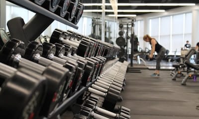 Gyms & Studios